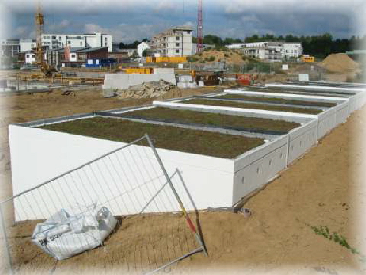 ref_grueneschborn02 ref_grueneschborn02